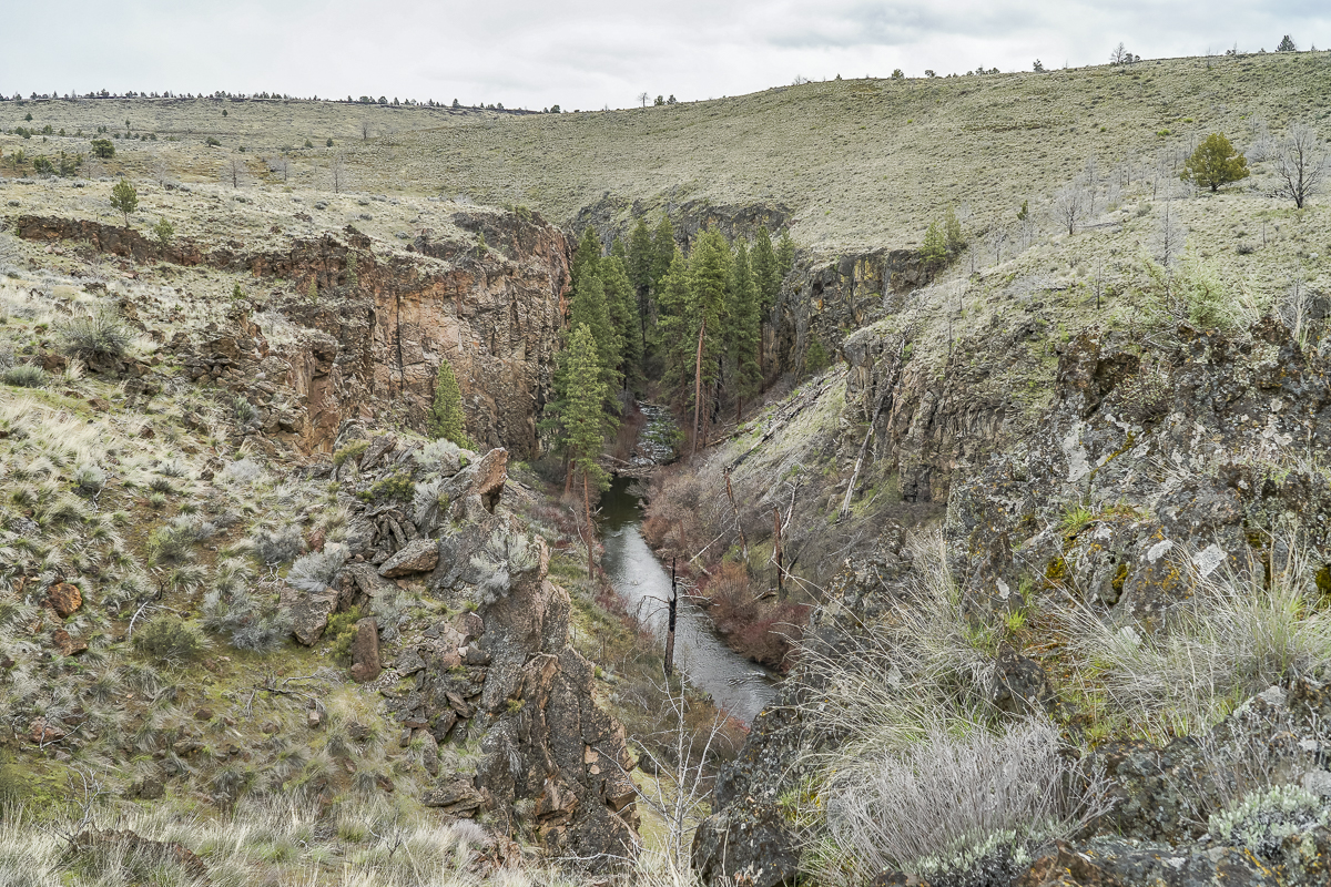 Whychus Canyon